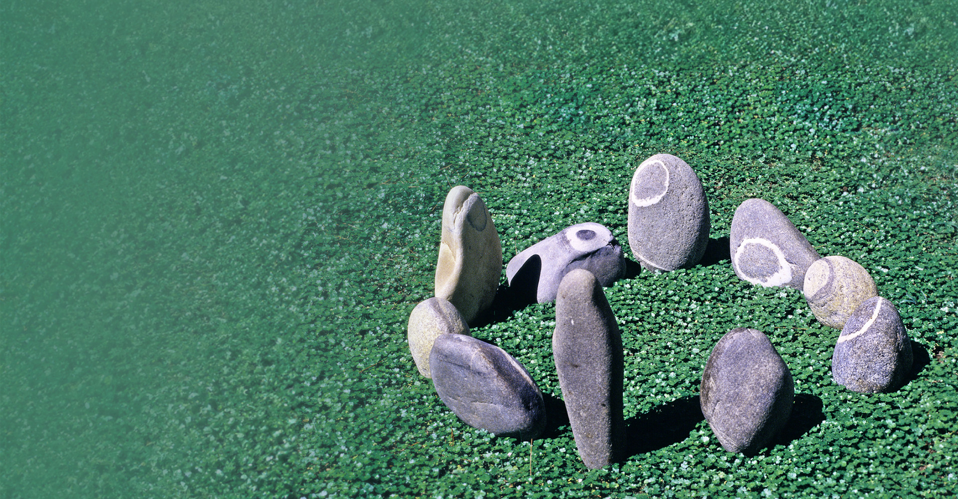 원불교 중앙교구